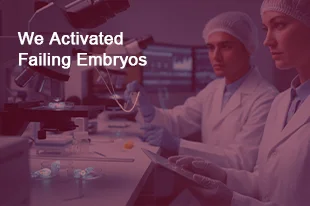 case-study-failing-embryos