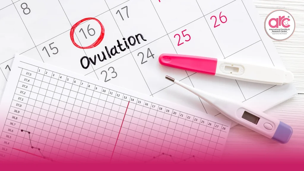 timed-intercourse-for-natural-conception