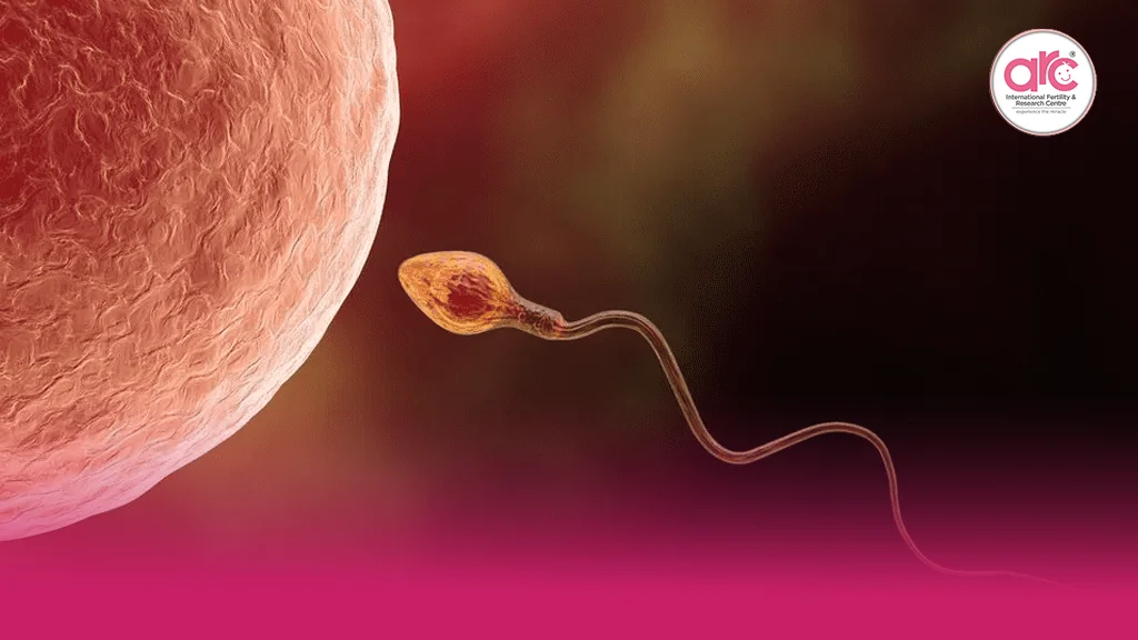 what-causes-low-sperm-count