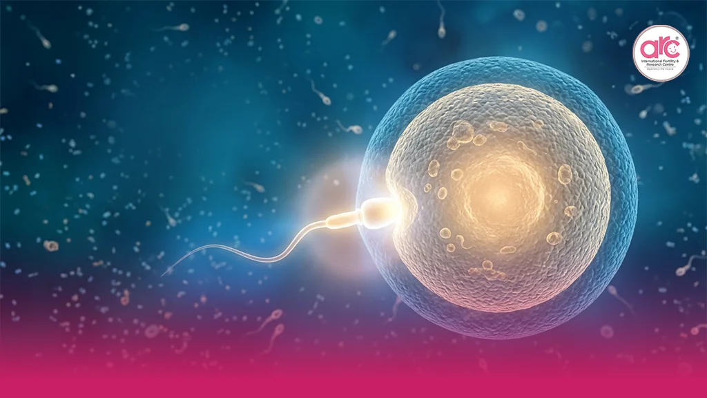 best-fertility-hospital-in-india
