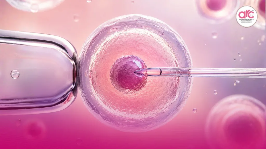 Doctor explaining donor egg IVF