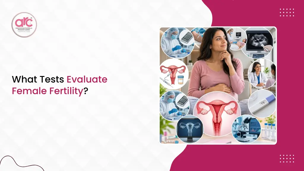 Evaluate Female Fertility